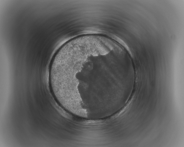 X0000115131179200911241440