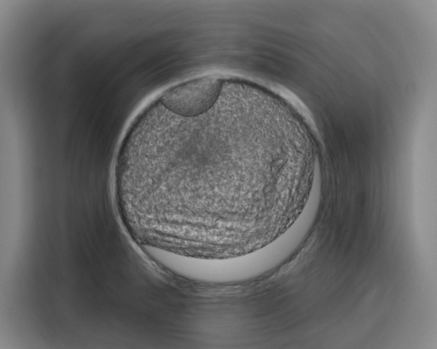 X0000115131183200911241439