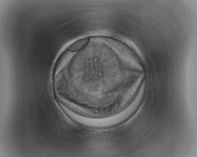 X0000115131184200911241439