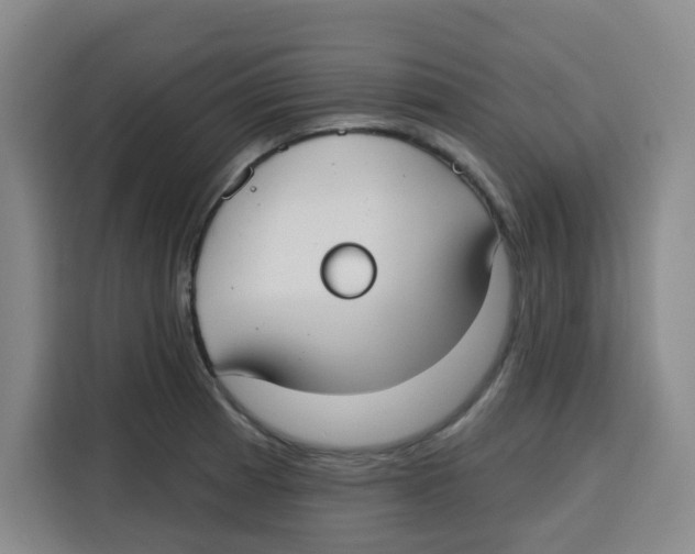X0000115131185200911241439