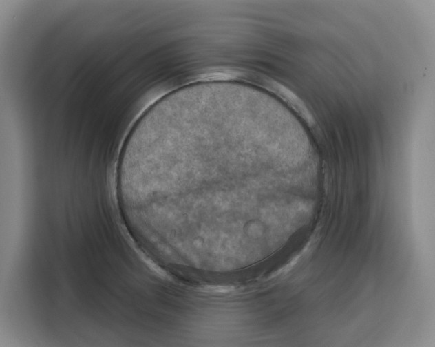 X0000115131186200911241439