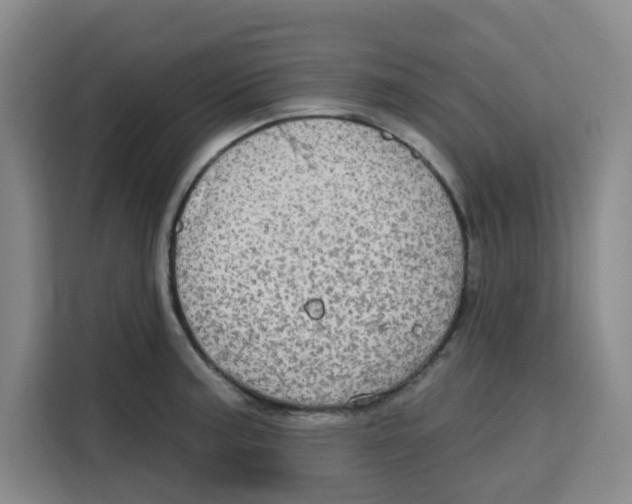 X0000115131187200911241439