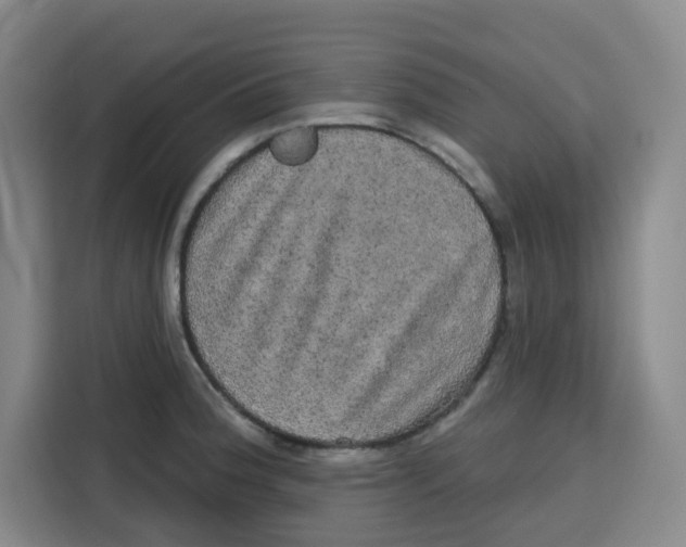 X0000115131188200911241439