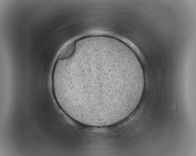 X0000115131191200911241439