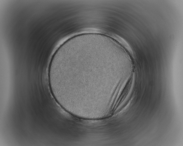 X0000115131192200911241439