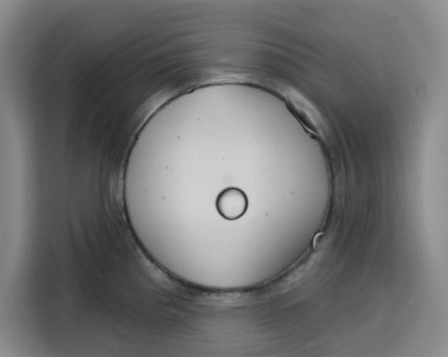 X0000115131193200911241439