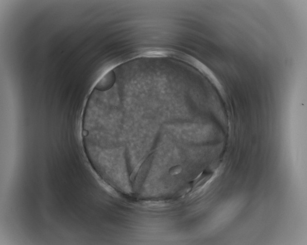 X0000115131194200911241439