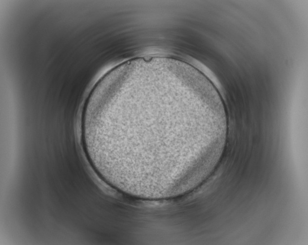 X0000115131195200911241439