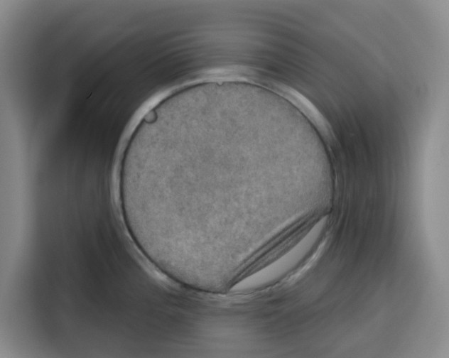 X0000115131196200911241439