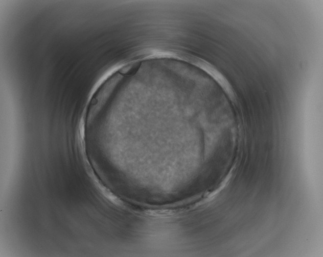 X0000115131198200911241439