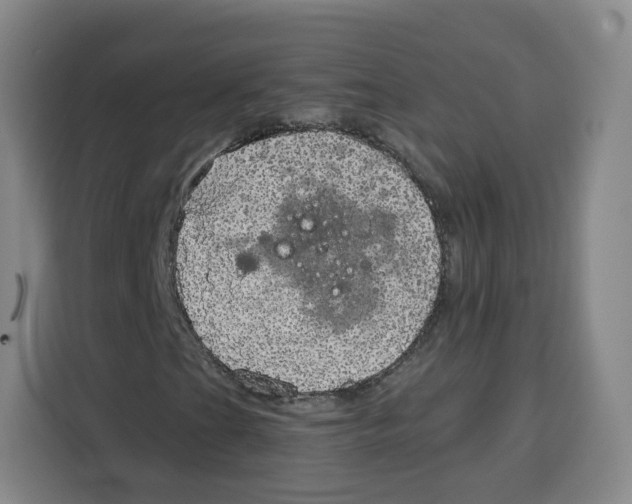 X0000115131201200911241439