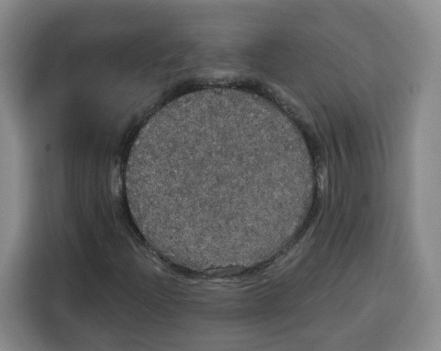 X0000115131204200911241439