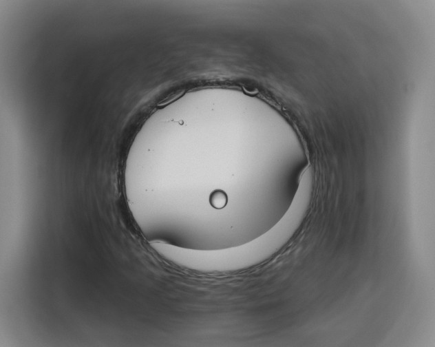 X0000115131205200911241439