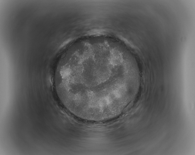 X0000115131206200911241439