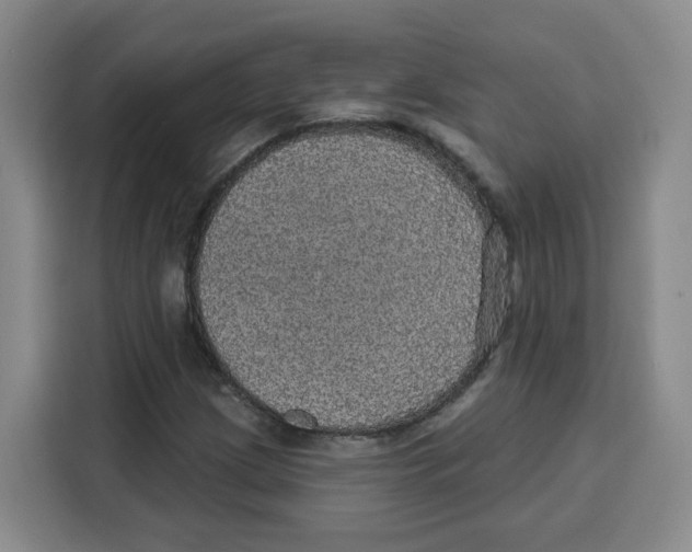 X0000115131209200911241439
