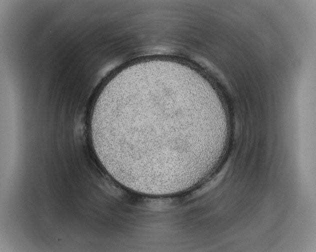 X0000115131210200911241439