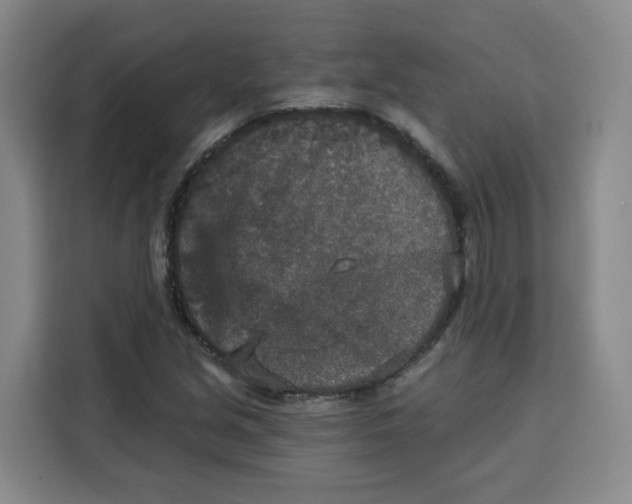 X0000115131213200911241439