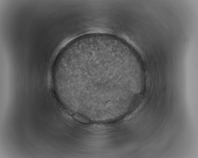 X0000115131215200911241439