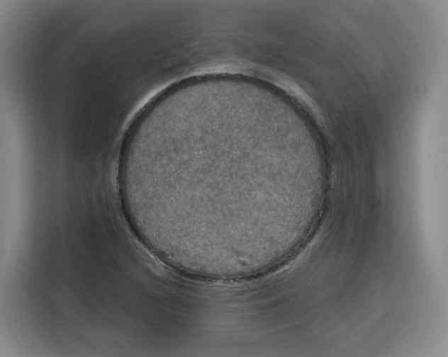 X0000115131216200911241439