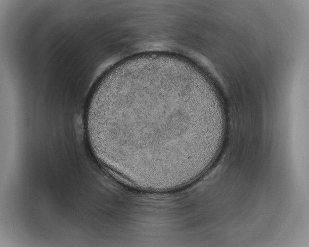 X0000115131218200911241439