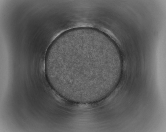 X0000115131220200911241439