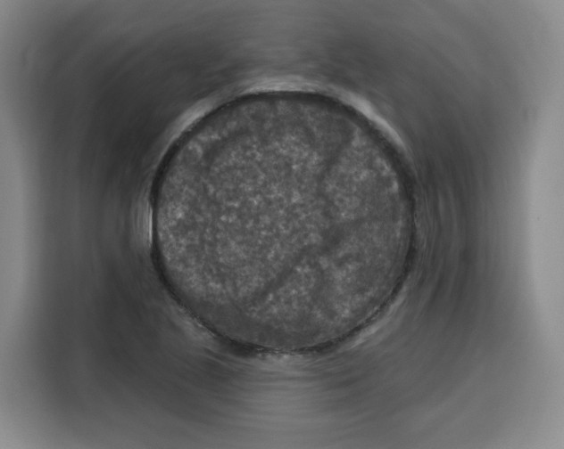 X0000115131221200911241439