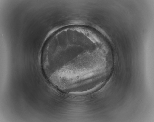 X0000115131222200911241439