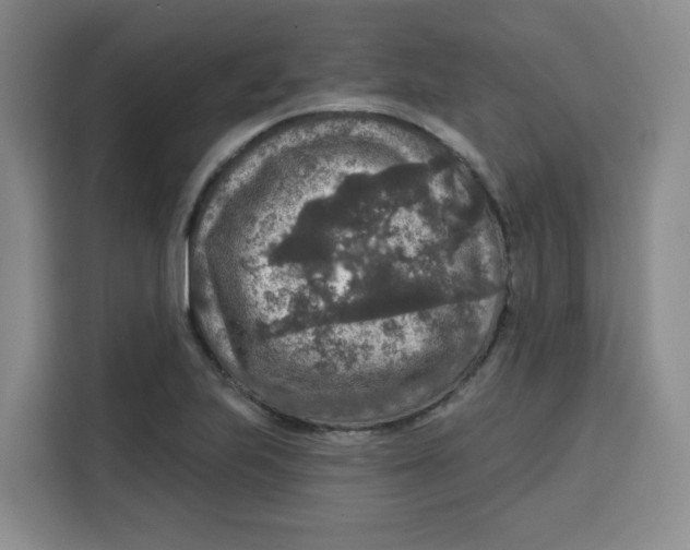 X0000115131223200911241439