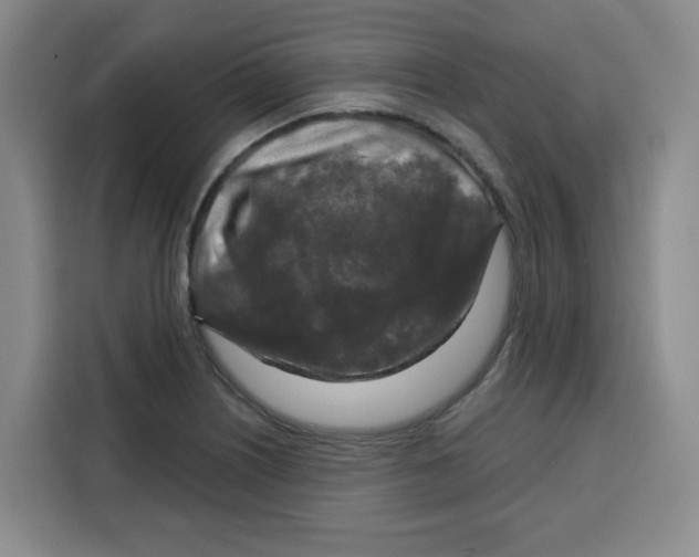 X0000115131226200911241439