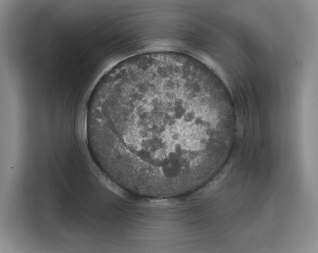X0000115131227200911241439