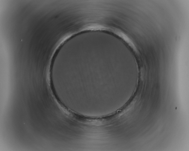 X0000115131229200911241439