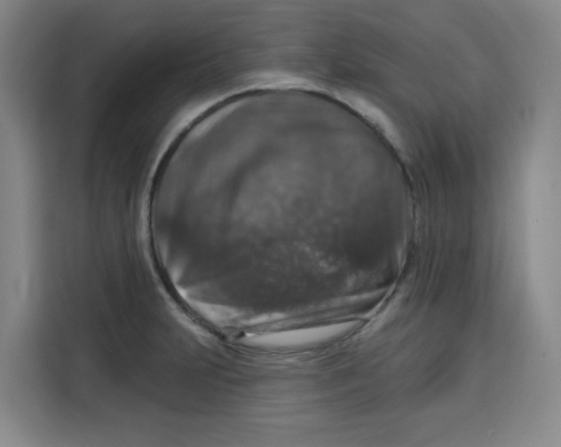 X0000115131231200911241439