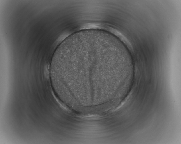X0000115131233200911241439