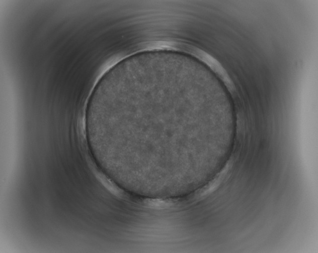 X0000115131234200911241439