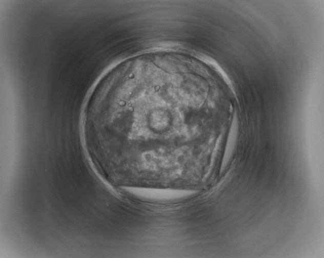 X0000115131235200911241439