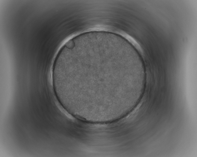 X0000115131238200911241439