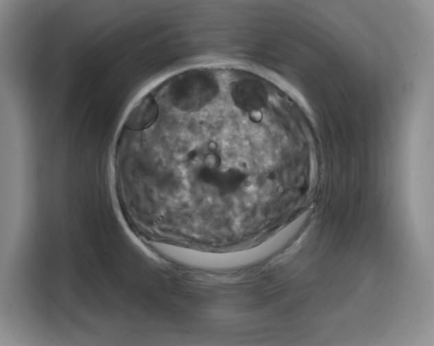 X0000115131239200911241439