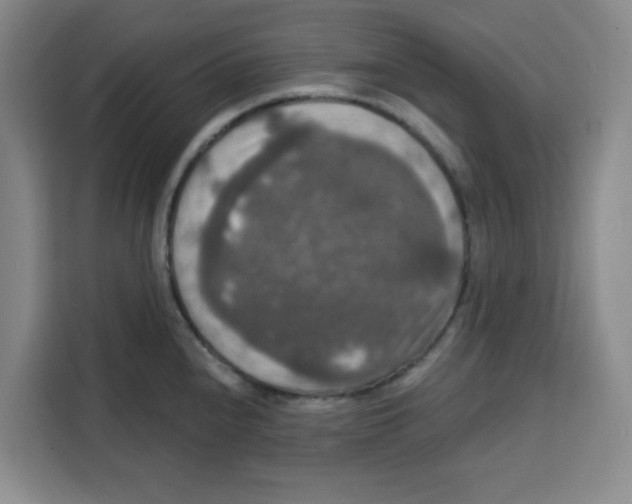 X0000115131240200911241439