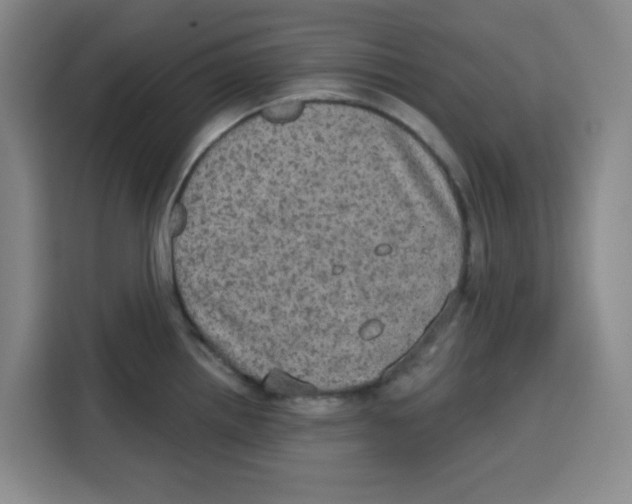 X0000115131242200911241439