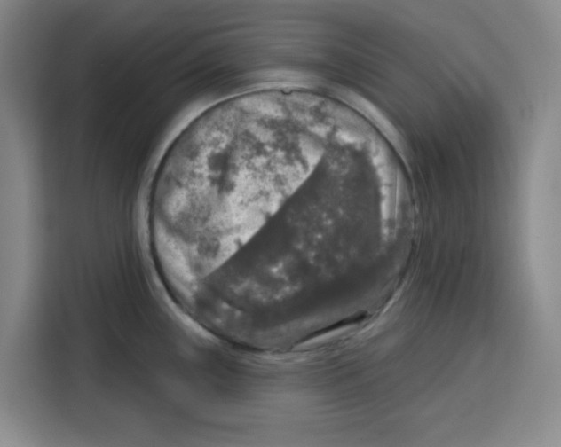 X0000115131243200911241439
