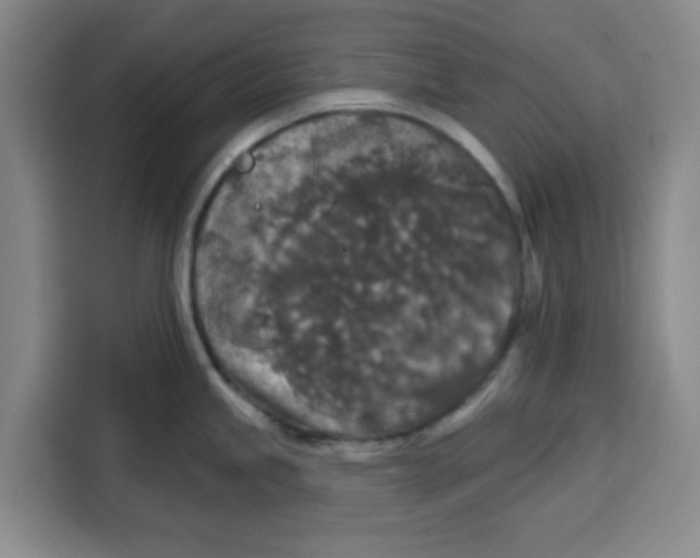 X0000115131245200911241439