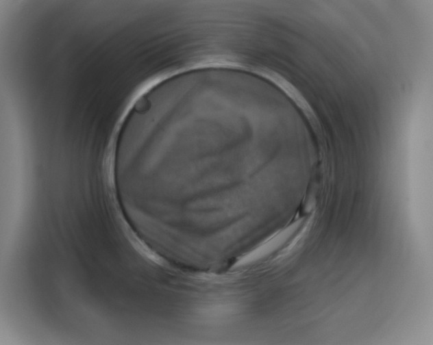 X0000115131246200911241439
