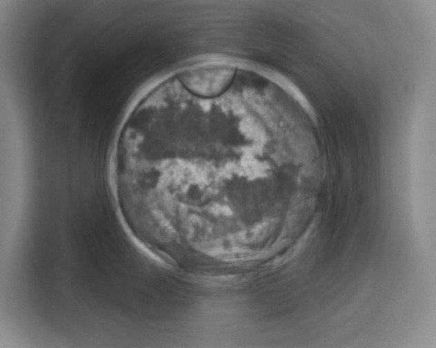 X0000115131247200911241439