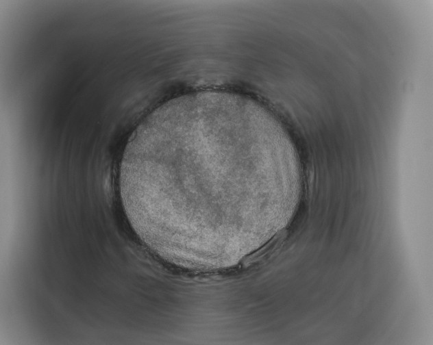 X0000115131250200911241439