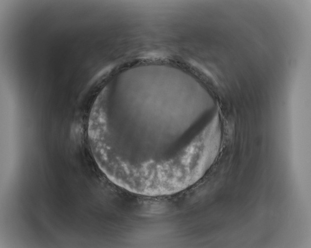 X0000115131254200911241439