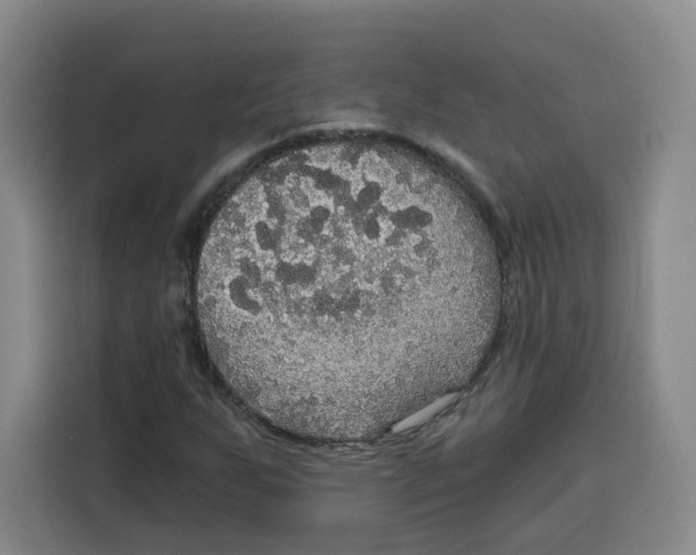 X0000115131255200911241439