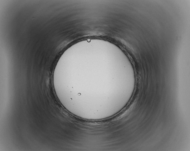X0000115131257200911241439