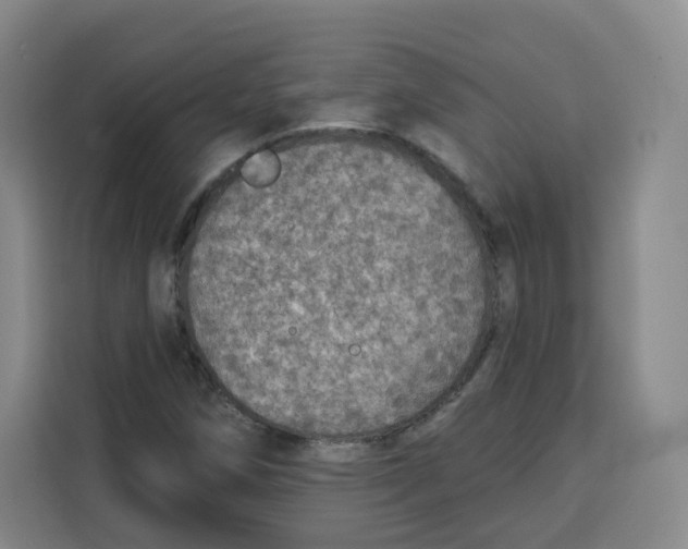 X0000115131258200911241439