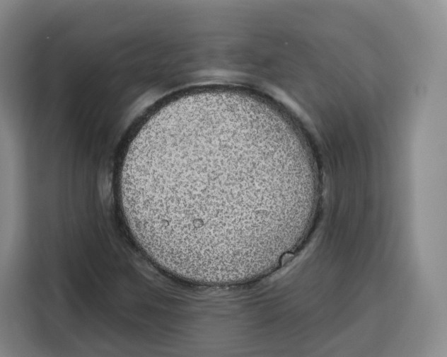 X0000115131259200911241438