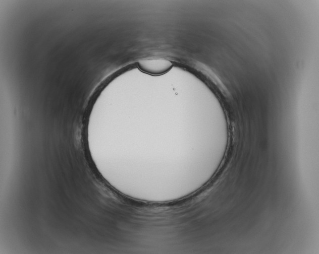 X0000115131260200911241438